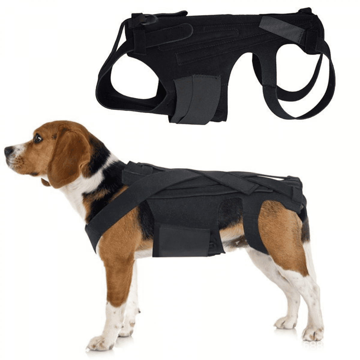 XAIAUHUA Adjustable Dog Back Brace - Support for IVDD, Arthritis ...