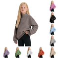 thumbnail image 1 of XAOFW Cozy Lined Neck Sweatshirt For Girls Solid Color Long Sleeve Sweatshirts Soft Winter Pullover For Kids Everyday Wear Comfortable Tops 3-4 Years, 1 of 4