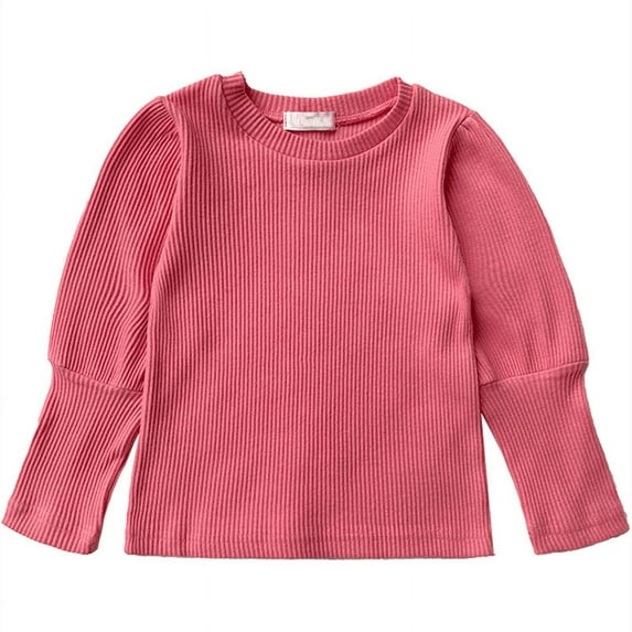 XBASW Baby Kids Girls T-Shirt Tops Pullover Bottoming Shirt Toddler Spring Fall Crewneck Tees for Girls 2-7 Years