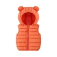 thumbnail image 1 of XBASW Baby Toddler Hooded Vest for Boys Girls Winter Puffer Cotton Waistcoat Zipper up Sleeveless Jacket Size 1-6Y, 1 of 10