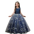 thumbnail image 1 of XBASW Kids Toddler Flower Girl Dress Star Mesh Tutu Princess Dresses Teen Girls Wedding Bridesmaid Birthday Party Pageant Long Gown 5-14T, 1 of 9