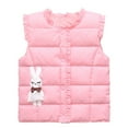 thumbnail image 1 of XBASW Kids Toddler Puffer Cotton Vest for Girls Light down Cartoon Waistcoat Winter Fall Sleeveless Jacket for 2- 10 Years, 1 of 9