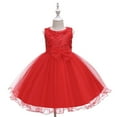 thumbnail image 1 of XBASW Toddler Baby Girls Lace Bridesmaid Dress Flower Kid Wedding Ball Gown Kids Princess Pageant Evening Tulle Dresses 2-10T, 1 of 9