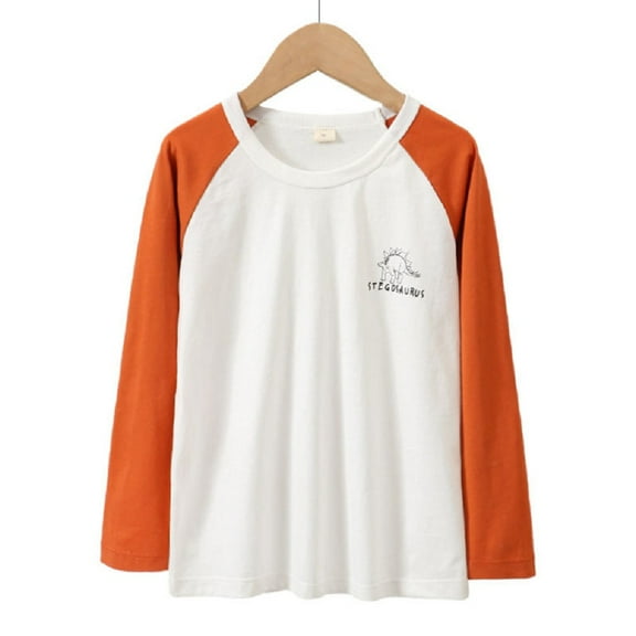 XBASW Toddler Kids Cartoon Tees Long Sleeve T-Shirt for Boys Cotton Crewneck T Shirt Spring Fallcasual Tops for 5-12Y