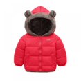 thumbnail image 1 of XBASW Toddler Kids Fleece Jackets Ear Hooded Winter Coat 2-7 Years Warm Thick Snowsuit Outerwear for Boys Girls, 1 of 8