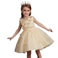 thumbnail image 1 of XBASW Toddler Kids Girls Mesh Princess Dress Floral Tulle Bridesmaid Dress Baby Girls Embroidery Birthday Party Gowns 3-13T, 1 of 9