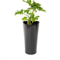XBrand 22.4" H Black Plastic Self Watering Indoor Outdoor Triangle Planter Pot w/Glossy Finish, Tall Decorative Gardening Pot, Home Décor Accent