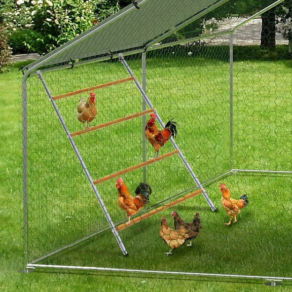 XC  55" Large Chicken Perch, Heavy Duty Roosting Bars For Coop With Galvanized Frame, Easy To Clean Poultry Perch For Backyard Hens