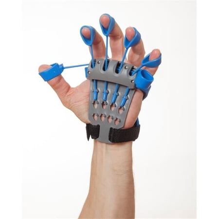 XCB100 The Xtensor Blue