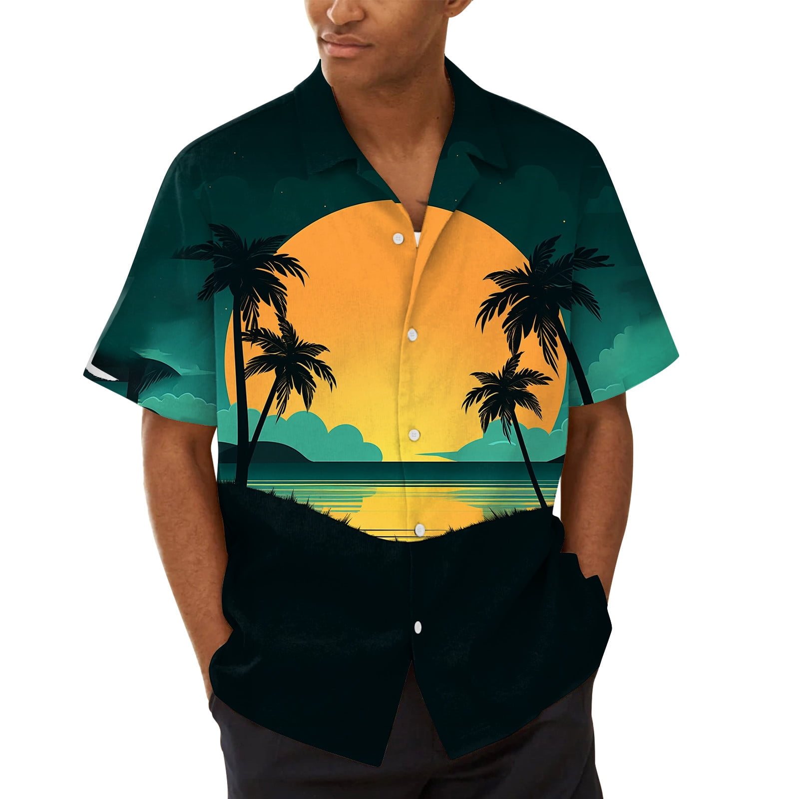 XDDLITP Men's Hawaiian Shirt Short Sleeves Printed Button Down Summer