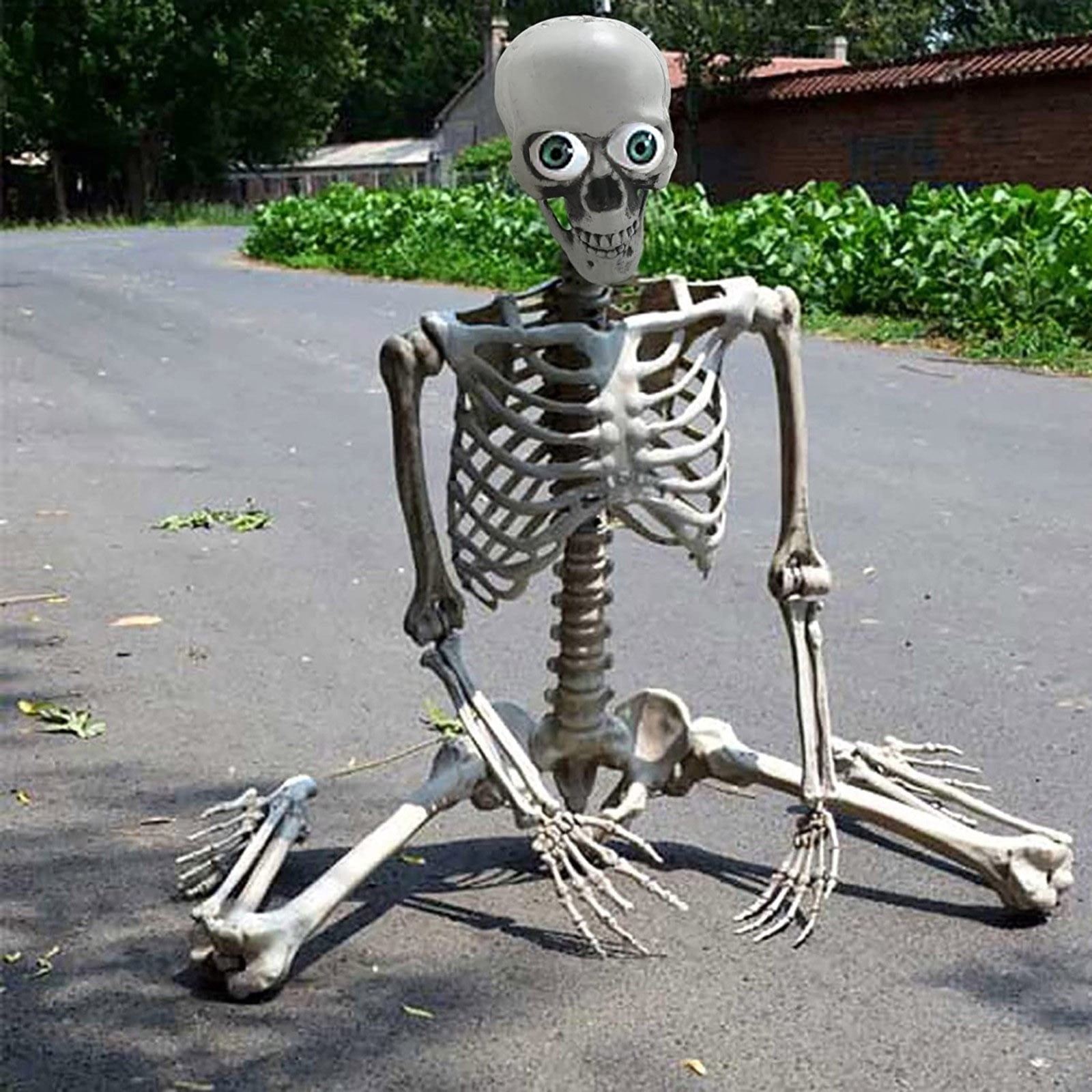 XDDST Halloween Gifts Halloween Skeleton Prop Deco Halloween Skeleton