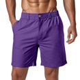 thumbnail image 1 of XDZJLR Mens Shorts Summer Solid Color Pocket Drawstring Loose Quick Dry Sports Running Straight Beach Work Shorts for Men L, 1 of 3