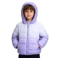 thumbnail image 1 of XEGLSBU Baby Boy Clothes Boys Winter Warm Gradient Color Down Jacket with Hood Kids Coat Windproof Outdoor Play Cold Weather Coats for Children Purple Size 2-3 Years, 1 of 6
