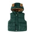 thumbnail image 1 of XEGLSBU Girls Coats Size 6 Boys Down Vest with Attached Hood Winter Warm Padded Sleeveless Jacket for Kids Outdoor Thermal Insulated Outerwear Cozy Lined Garment Dark Green Size 3-4 Years, 1 of 4