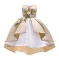 thumbnail image 1 of XEGLSBU Girls Dresses Size 6-8 Girls' Dress for Children off The Shoulder Party Gown Dress with Rose Embroidery Skirt for Ages 3 10 Beige Size 3-4 Years, 1 of 7