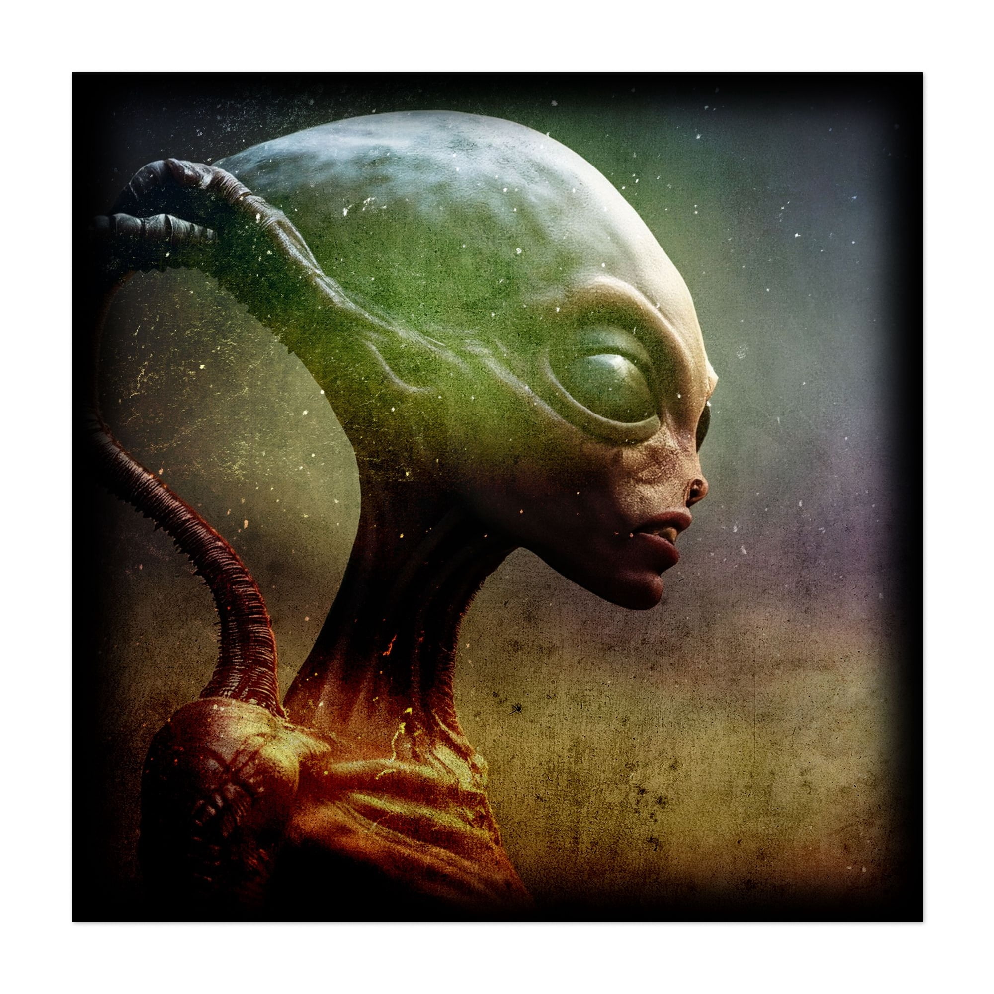 XENOS II - an alien entity - Digital Art Sci-Fi Surrealism Fantasy ...
