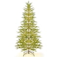 thumbnail image 1 of XEOVHV 5ft Pre-Lit Sparse Christmas Tree, Simulated Artificial Cypress Christmas Tree with PE Tips, 100 Warm-White LED Lights, Timer, Metal Stand, Holiday Xmas Tree for Home, Office Decoration, 1 of 6