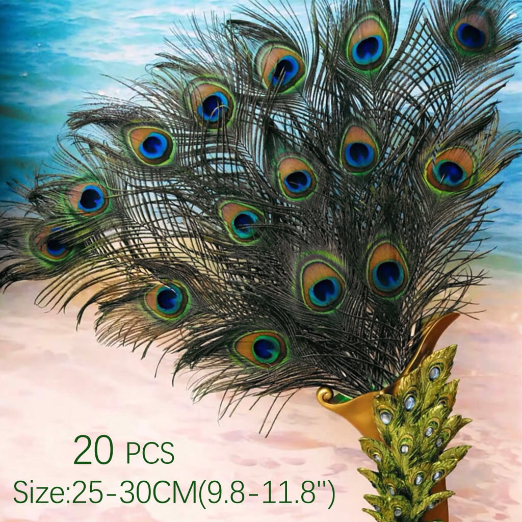 XEOVHV Real Natural Peacock Tail Eyes Feathers Perfect for Wedding Party  Arts And Crafts Home Decorations DIY 25-30cm/9.8-11.8Inches Summer Limited,  Promotion 