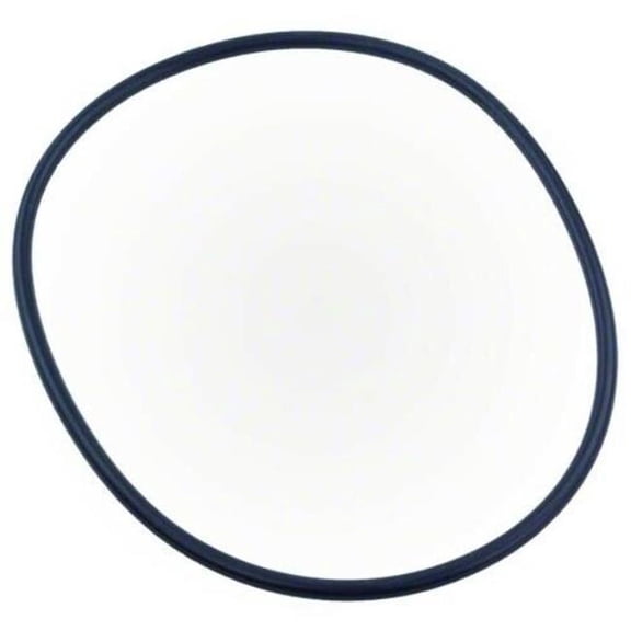 XF Series Pump Seal Plate O-Ring - Black - Durable Material - Essential Replacement Part