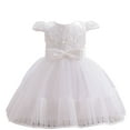 thumbnail image 1 of XFHLMJFF Girls Dress Kids Toddler Baby Spring Summer Print Ruffle Short Sleeve Solid Color Princess Lace Tulle Party Frocks Lovely Sundress, 1 of 9