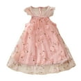thumbnail image 1 of XFHLMJFF Girls Dress Short Sleeve Tulle Lace Toddler Tutu Embroidery Floral Fly Sleeve Princess Baby Comfortable Sundress, 1 of 5