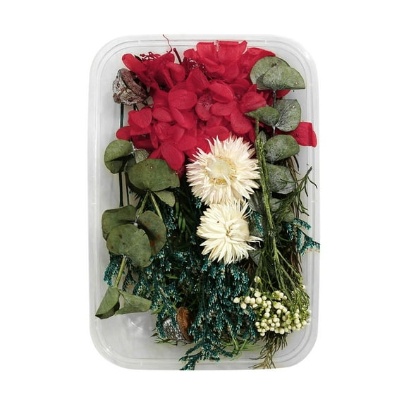 XFHLMJFF Valentine's Day Gift Real Dried Flower Resin Fillings Expoxy Flower for Jewelry Making Craft DIY Supplies Accessories