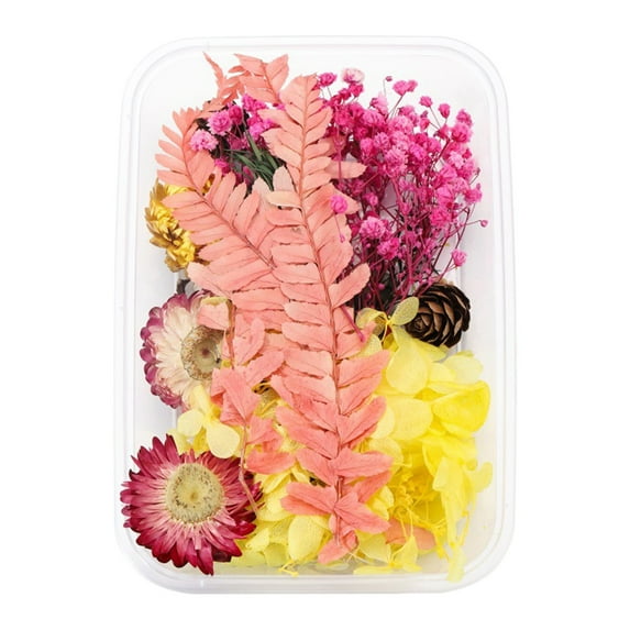 XFHLMJFF Valentine's Day Gift Real Dried Flower Resin Fillings Expoxy Flower for Jewelry Making Craft DIY Supplies Accessories