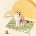 thumbnail image 1 of XGFHYJEH Dog Bed, Small Dog Beds, Medium Dog Beds, Dog Beds for Small Medium Size Dogs, Cat Bed, Pet Bed, Dog Crate Mat, 1 of 6