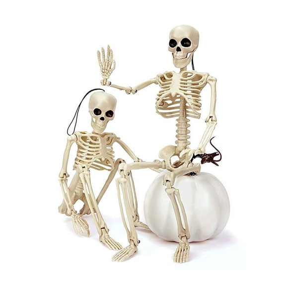 XGFHYJEH Halloween Decorations Decor, Halloween Skeleton Plastic Human Skull Pendant Foldable Decoration