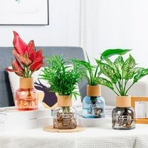 XGFHYJEH Vase, Flower Vase, Vase Decor, Plastic Vase, Spring Vase, Short Vase, Bouquet Vase, Flower Vases Clearance, Flower Vase Decor, Vase Decorations Clearances, Plastic Vase for Flowers