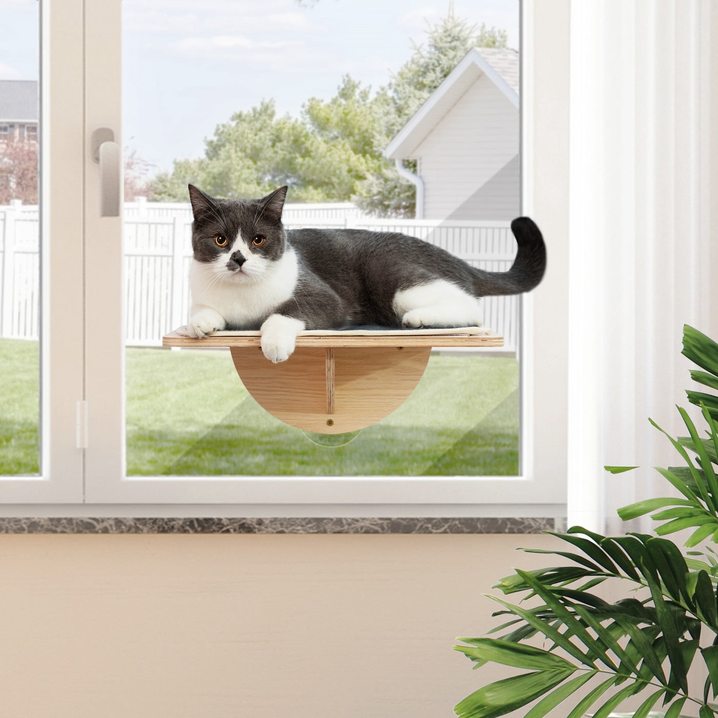 Picture of XGeek Cat Window Perch Wall-Mounted Cat Hammock,Cat Wall-Mounted Bed ...