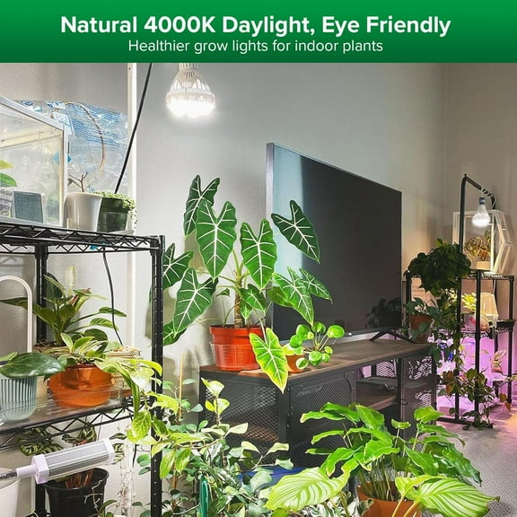 XH Grow Lights for Indoor Plants Full Spectrum, 36W Grow Light Bulb (400 Watt Equivalent) with Optical Lens for High PPFD, PPF 65.6 umol/s LED Energy Saving Plant Light Bulb for Seeding and Growing