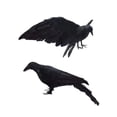 thumbnail image 1 of XHKUYI 2 PCS Halloween Realistic Crow 13 inch, Fake Black Feathered Standing Crow, Spooky Ravens for Halloween Yard Tree Garden Patio Haunted House Prop, 1 of 9