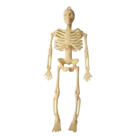 XHKUYI Halloween Mini Skeleton Decorations 6 inch, Hanging Small Human Skeleton Figurines, Spooky Skeleton Ornaments for Halloween Tabletop Graveyard Haunted House Party Decor