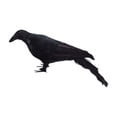 thumbnail image 1 of XHKUYI Halloween Realistic Crow 13 inch, Fake Black Feathered Standing Crow, Spooky Ravens for Halloween Yard Tree Garden Patio Haunted House Prop, 1 of 9