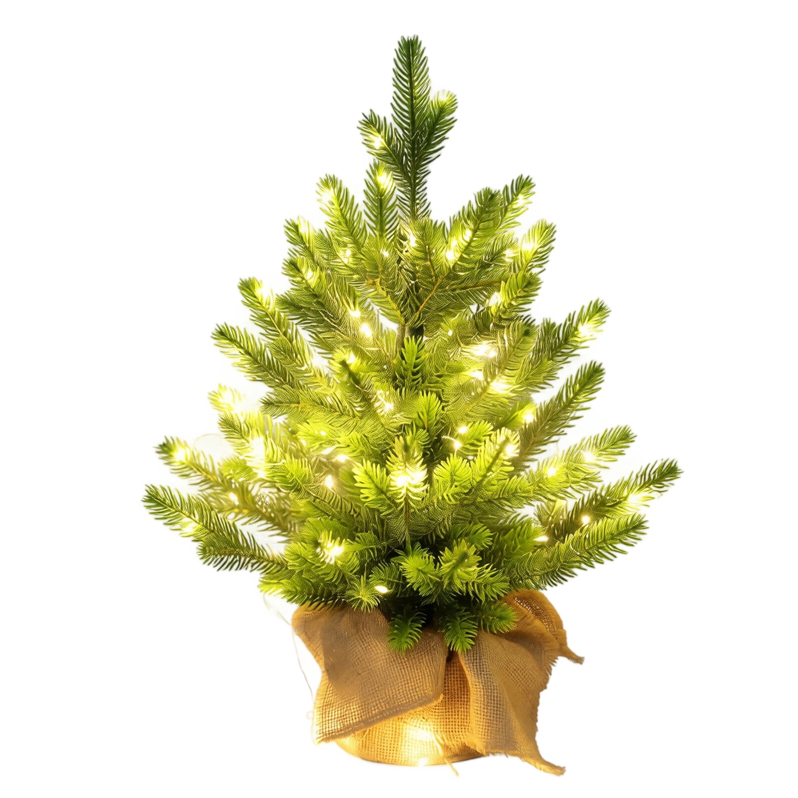 XHKUYI Pre-Lit Flocked Tabletop Mini Christmas Tree 23.6 inch, Snowy ...