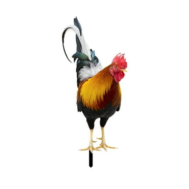 XHLQCBL Warehouse Clearance Sale Home Decor Cheap Outdoor Decoration Board Of Courtyard Chicken Acrylic Garden