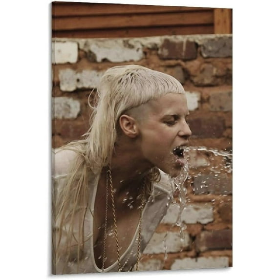 XHUOPSKQM Die Antwoord Yolandi Visser Poster Oil Paintings Murals Prints Posters Photos 12x18inch(30x45cm)