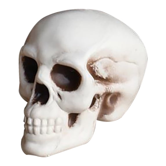 XIA0LE Halloween Skeletons Plastic Realistic Fake Simulation Skull Head,4.5x5in Halloween Prop Realistic Mini Skeleton Spooky Halloween Decoration