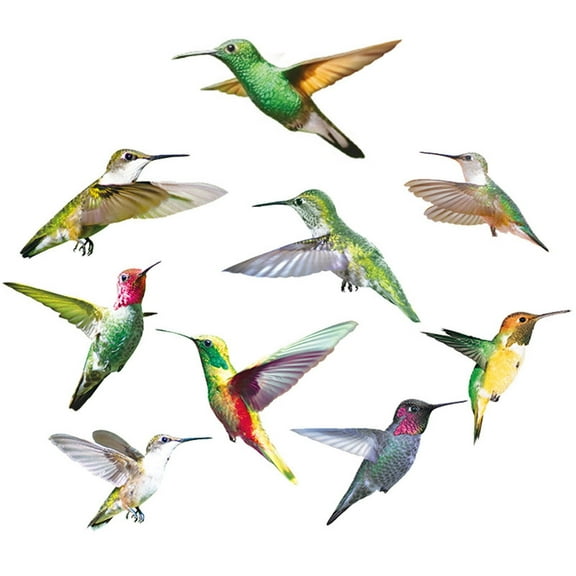 XIANXIAN Anti-Collision Window Clings Bird Alert Collision Decals to Prevent Bird Strikes on Window Glass-Beautiful Hummingbirds