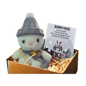 XIANXIAN Handmade Mini Bunny Hug Cute Easter Gift with Card, Soft Plush Rabbit Mini Bunny Hugs in Box Easter Basket Bunny Stuffer Women Men for Inspirational Easters Gifts