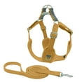 thumbnail image 1 of XIAOLE Small Dog Harness With Leash Set, No Escape Easy Walk Puppy Harnesses, For Training Walking, Step-In Reflective Soft Dogs Vest, Soft And Breathable Vests With Reflective Strip,(Yellow S）, 1 of 7