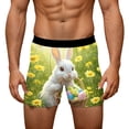 thumbnail image 1 of XIAONU Men's Easter Bunny Print Boxer Briefs Slim Fit Mid Length Elastic Waistband Soft Stretchy Underwear, 1 of 6
