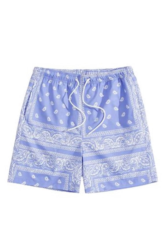 Men's Paisley Print Shorts Drawstring Waist Beach Swim Casual Board Shorts