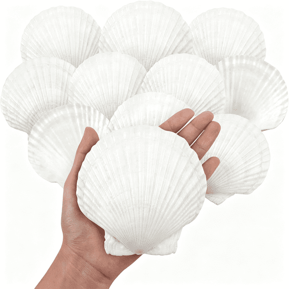 XIBUFE 10Pcs Large Natural Scallop Shells,4''-5'' Large Shell for Crafts,Diy Painting,Baking&Beach Wedding Decorations-Large White Seashells Bulk for Ocean Themed Parties&Home Decor