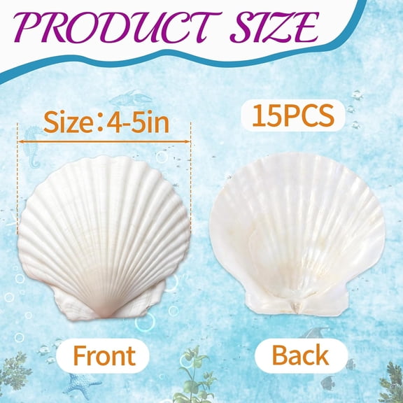 XIBUFE 15Pcs Large Scallop Sea Shells for Crafts 4-5 White Sea Shells|Scallop Shells Bulk Clam Shells for Baking Diy Painting Beaching Wedding Decor