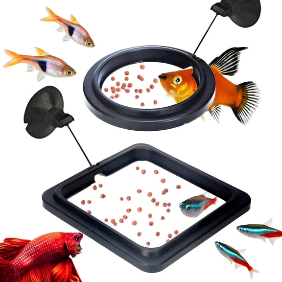 XIBUFE 2 Betta Feeding Ring,Prevent Water Turbulence from Washing Food into Filter,Practical Round Floating Food,Suitable for Guppy,Goldfish and Other Small Fish