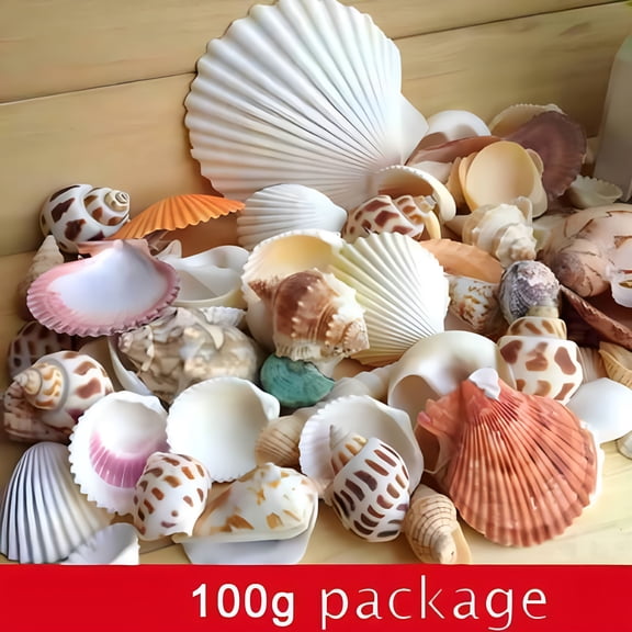XIBUFE 2026 New 100G Mixed Beach Seashells Mix Sea Shell Craft Seashell Natural Decor Diy, for Beach-Themed Crafts, Home Decor, Wedding Decorations, Table Centerpieces, Coastal Projects.