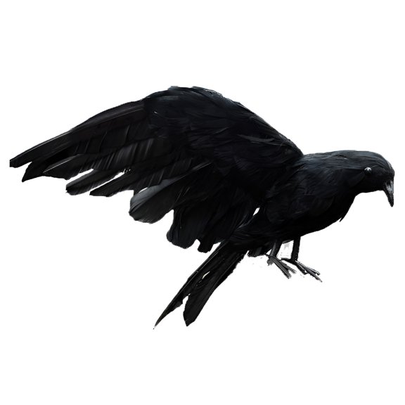 XIBUFE 2026 New 11.8" Halloween Realistic Crow Feathered Artificial Crow Ornament Toy Simulation Black Standing Flying Crow for Outdoor Indoor Party Supplies Prop Bird Cute Life Like Crow