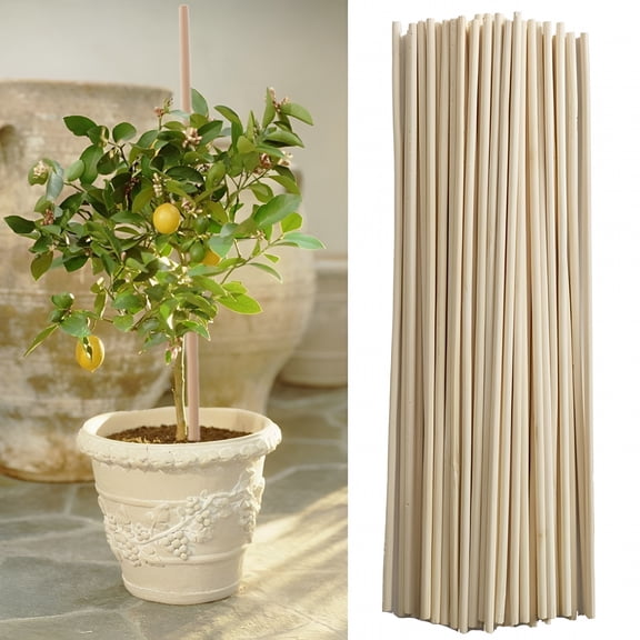 XIBUFE 2026 New 50Pcs Wooden Plant Sticks Bamboo Canes for Garden Plants Flower Support Cane for Gardening, Plant Support, Flower Staking, Vegetable Gardens, Outdoor Plants